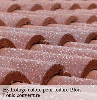 Hydrofuge colore pour toiture  blois-41000 Louis couverture