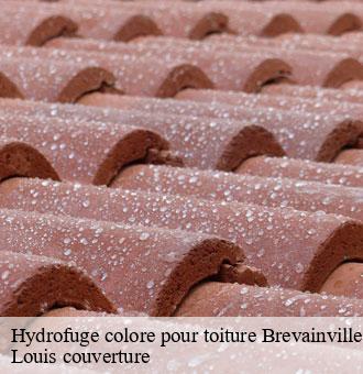 Hydrofuge colore pour toiture  brevainville-41160 Louis couverture