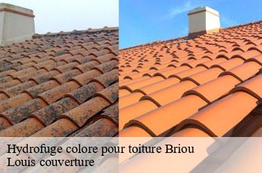 Hydrofuge colore pour toiture  briou-41370 Louis couverture