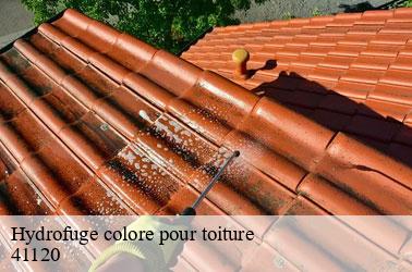 Hydrofuge colore pour toiture  chailles-41120 Louis couverture