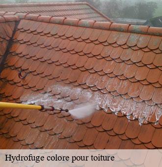 Hydrofuge colore pour toiture  chailles-41120 Louis couverture