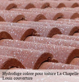 Hydrofuge colore pour toiture  la-chapelle-vendomoise-41330 Louis couverture