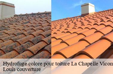 Hydrofuge colore pour toiture  la-chapelle-vicomtesse-41270 Louis couverture