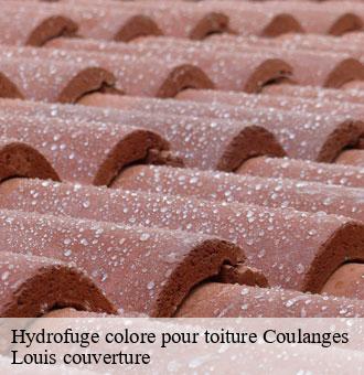 Hydrofuge colore pour toiture  coulanges-41150 Louis couverture