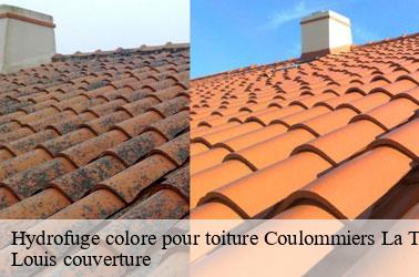 Hydrofuge colore pour toiture  coulommiers-la-tour-41100 Louis couverture