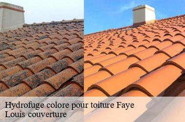 Hydrofuge colore pour toiture  faye-41100 Louis couverture