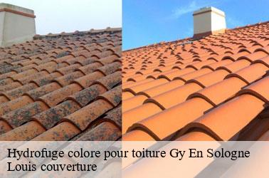Hydrofuge colore pour toiture  gy-en-sologne-41230 Louis couverture