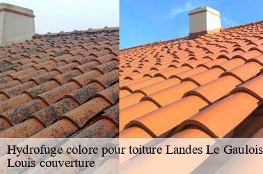 Hydrofuge colore pour toiture  landes-le-gaulois-41190 Louis couverture