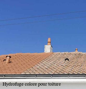 Hydrofuge colore pour toiture  lavardin-41800 Louis couverture