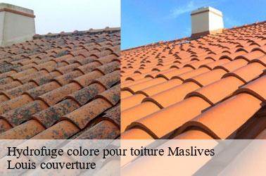 Hydrofuge colore pour toiture  maslives-41250 Louis couverture