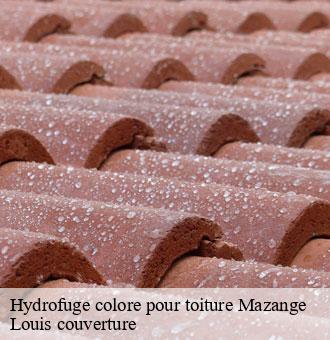 Hydrofuge colore pour toiture  mazange-41100 Louis couverture