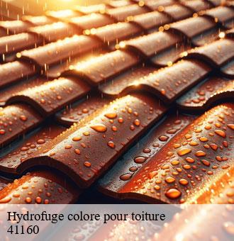 Hydrofuge colore pour toiture  moisy-41160 Louis couverture
