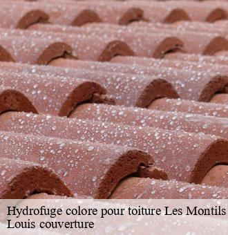 Hydrofuge colore pour toiture  les-montils-41120 Louis couverture
