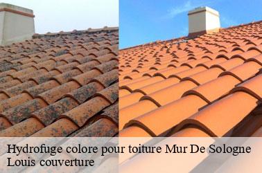 Hydrofuge colore pour toiture  mur-de-sologne-41230 Louis couverture