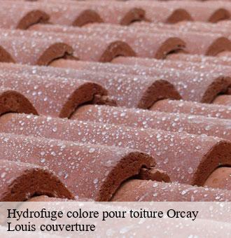 Hydrofuge colore pour toiture orcay-41300 Louis couverture