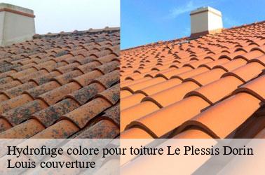 Hydrofuge colore pour toiture  le-plessis-dorin-41170 Louis couverture