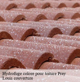 Hydrofuge colore pour toiture  pray-41190 Louis couverture