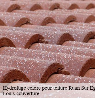 Hydrofuge colore pour toiture  ruan-sur-egvonne-41270 Louis couverture