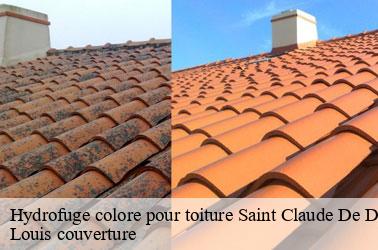 Hydrofuge colore pour toiture  saint-claude-de-diray-41350 Louis couverture