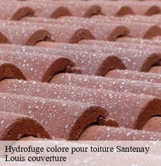 Hydrofuge colore pour toiture  santenay-41190 Louis couverture