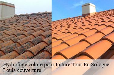 Hydrofuge colore pour toiture  tour-en-sologne-41250 Louis couverture