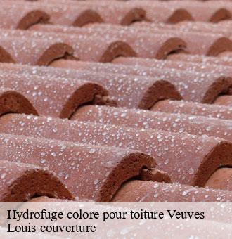 Hydrofuge colore pour toiture  veuves-41150 Louis couverture