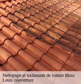 Nettoyage et traitement de toiture  blois-41000 Louis couverture