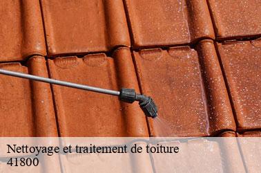 Nettoyage et traitement de toiture  bonneveau-41800 Louis couverture