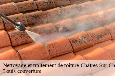 Nettoyage et traitement de toiture  chatres-sur-cher-41320 Louis couverture