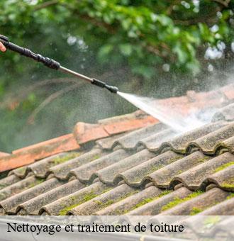 Nettoyage et traitement de toiture  chauvigny-du-perche-41270 Louis couverture