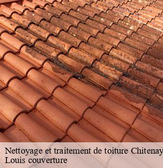 Nettoyage et traitement de toiture  chitenay-41120 Louis couverture