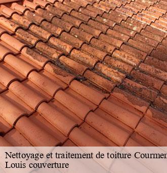 Nettoyage et traitement de toiture  courmemin-41230 Louis couverture