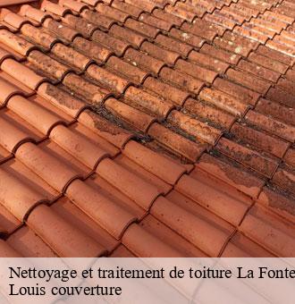 Nettoyage et traitement de toiture  la-fontenelle-41270 Louis couverture