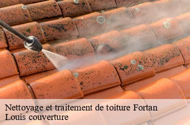 Nettoyage et traitement de toiture  fortan-41360 Louis couverture