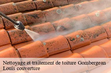 Nettoyage et traitement de toiture  gombergean-41310 Louis couverture