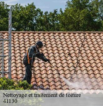 Nettoyage et traitement de toiture  meusnes-41130 Louis couverture