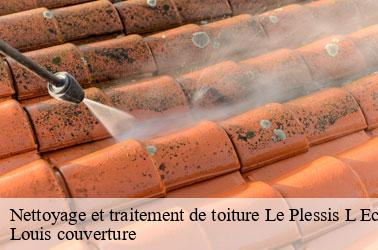 Nettoyage et traitement de toiture  le-plessis-l-echelle-41370 Louis couverture