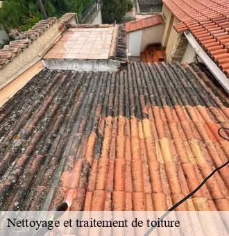 Nettoyage et traitement de toiture rahart-41160 Louis couverture