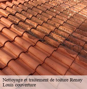 Nettoyage et traitement de toiture  renay-41100 Louis couverture