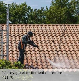 Nettoyage et traitement de toiture  saint-avit-41170 Louis couverture