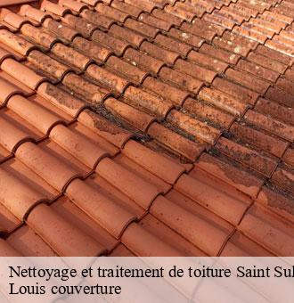 Nettoyage et traitement de toiture  saint-sulpice-41000 Louis couverture