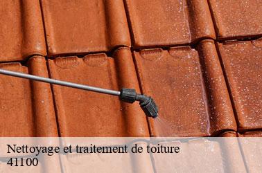Nettoyage et traitement de toiture  selommes-41100 Louis couverture