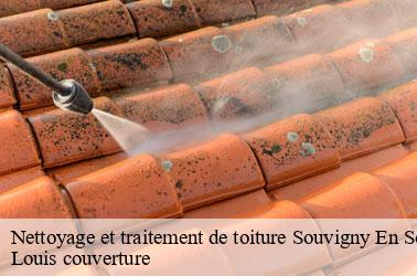 Nettoyage et traitement de toiture  souvigny-en-sologne-41600 Louis couverture
