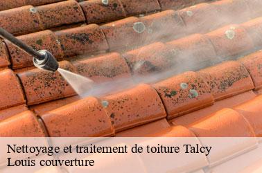 Nettoyage et traitement de toiture  talcy-41370 Louis couverture
