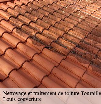 Nettoyage et traitement de toiture  tourailles-41190 Louis couverture