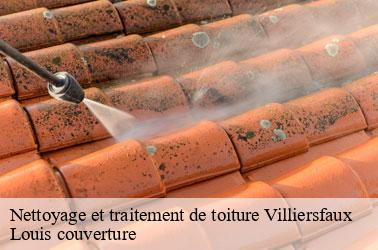 Nettoyage et traitement de toiture  villiersfaux-41100 Louis couverture